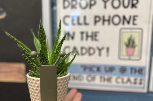 fcs teacher classroom decor